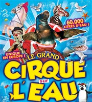 Le Cirque sur l'Eau | - Bourg en Bresse Chapiteau Le Cirque sur l'Eau  Bourg en Bresse Affiche