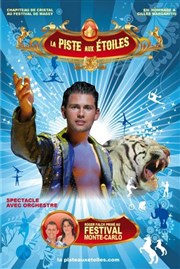 Cirque La Piste aux Etoiles | Nantes Chapiteau cirque la piste aux toiles  Nantes Affiche