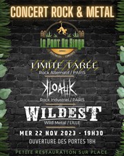 Concert Rock et Metal Le Pont de Singe Affiche