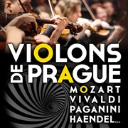 Violons de Prague | Aix-en-Provence Cathdrale Saint Sauveur Affiche