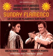 Sunday Flamenco Pniche Antipode Affiche