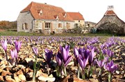 Visite guidée : le Quercy | Par Pays d'oc Metro Jean Jaurs Affiche