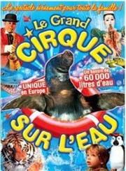 Le Cirque sur l'Eau | - Aix en Provence Chapiteau le Cirque sur l'eau  Aix en Provence Affiche