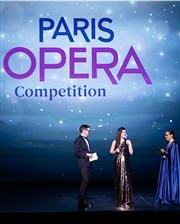 Paris Opera Competition Thtre des Champs Elyses Affiche