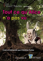 Tout ce qu'Alice n'a pas vu La Boite  rire Vende Affiche