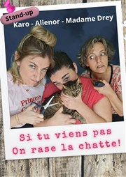 Audrey Perrin, Karo et Aliénor dans Si tu viens pas on rase la chatte Le Point Comdie Affiche