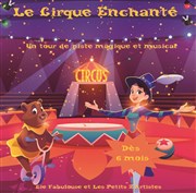 Le Cirque Enchanté Thtre Divadlo Affiche