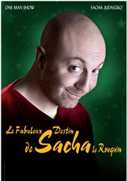 Sacha Judaszko dans le fabuleux destin de Sacha le rouquin Thtre Carnot Affiche