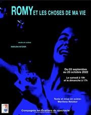 Romy et les choses de ma vie Thtre La Croise des Chemins - Salle Paris-Belleville Affiche