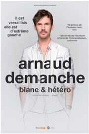 Arnaud Demanche dans Blanc et hétéro Thtre  l'Ouest Auray Affiche