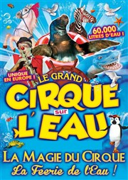 Le Cirque sur l'Eau | - Pau Chapiteau le Grand cirque de Saint Petersbourg  Pau Affiche