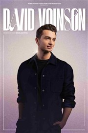 David Voinson Thtre Sbastopol Affiche