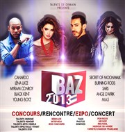 BAZ 2013 Salle Rustique Affiche