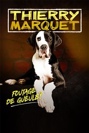 Thierry Marquet dans Foutage de gueule ? Comdie de Tours Affiche