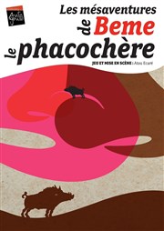 Les Mésaventures de Beme le Phacochère Akton Thtre Affiche