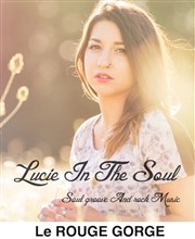 St Valentin live avec Lucie in The Soul | Dîner-concert Rouge Gorge Affiche