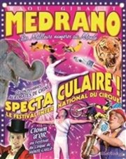 Le Grand Cirque Medrano | Toulon Chapiteau Medrano  Toulon Affiche