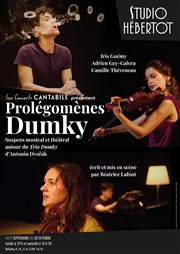 Prolégomènes Dumky Studio Hebertot Affiche