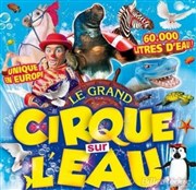 Le Cirque sur l'Eau | - Ajaccio Chapiteau Le Cirque sur l'eau  Ajaccio Affiche