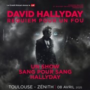 David Hallyday : Requiem pour un fou - Toulouse Znith de Toulouse Affiche