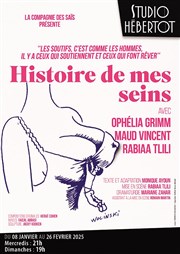 Histoire de mes seins Studio Hebertot Affiche