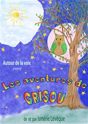 Les Aventures de Grisou Thtre de la violette Affiche