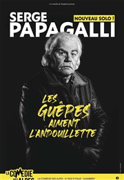 Serge Papagalli dans Les guêpes aiment l'andouillette La Comdie des Alpes Affiche