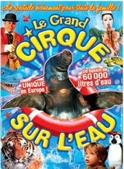 Le Cirque sur l'Eau, la grande féerie aquatique | Toulouse Chapiteau Le Cirque sur l'eau  toulouse Affiche