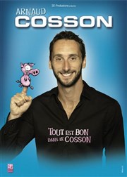 Arnaud Cosson dans Tout est bon dans le Cosson Palais de la Mutualit - Salle Edouard Herriot Affiche