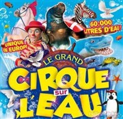 Le Cirque sur l'Eau | - Ghisonaccia Chapiteau Le Cirque sur l'eau  Ghisonaccia Affiche