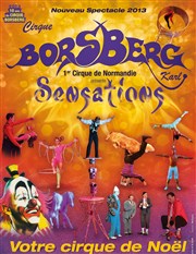 Cirque Borsberg dans Sensations Chapiteau Cirque Borsberg Affiche