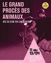 Le grand procès des animaux Amphithtre de la cit internationale Affiche