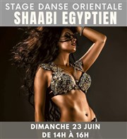 Danse Orientale 100% débutantes : Shaabi égyptien Pacific School Affiche