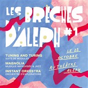 Les brèches d'Aleph Association Culturelle Thtre Aleph Affiche