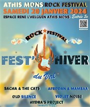 Fest'hiver du val Espace Ren L'Helguen Affiche