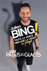 Julien Bing dans Toute la vérité, rien que la vérité, ou presque Petit Palais des Glaces Affiche