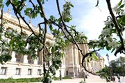 Visite guidée : Les Champs-Élysées côté jardins | par Mireille Gardon Mtro Franklin-Roosevelt Affiche