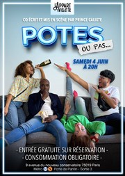 Potes ou pas... L'Appart de la Villette Affiche