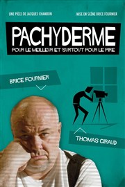 Pachyderme Dfonce de Rire Affiche