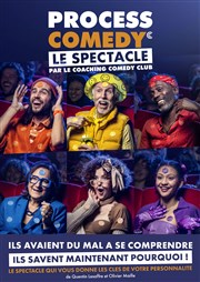 Process Comedy Comdie Le Mans Affiche