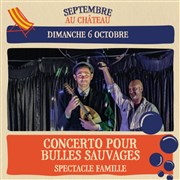 Concerto pour bulles sauvages Chteau de Chazey-Sur-Ain Affiche