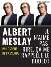 Albert Meslay dans Je n'aime pas rire, ça me rappelle le boulot Espace Gerson Affiche