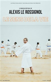 Alexis Le Rossignol dans Le sens de la vie Palais des Congrs de Lorient Affiche