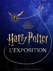 Harry Potter : L'Exposition-Billet date individuel Paris Expo-Porte de Versailles - Hall 2.1 Affiche