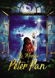 Le monde de Peter Pan CEC - Thtre de Yerres Affiche