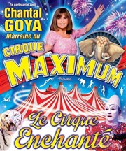 Le Cirque Maximum dans Le Cirque Enchanté | - Saint Martin de Ré Chapiteau Maximum  Saint Martin de R Affiche
