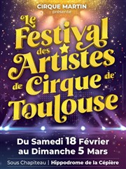 Festival des Artistes de Cirque de Toulouse Hippodrome de la Cpire Affiche