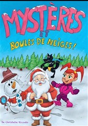 Mystères et boules de neiges Le Darcy Comdie Affiche