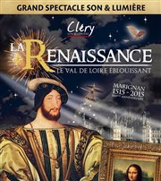 La Renaissance , Le Val de Loire Éblouissant | Le Son & Lumière de Cléry Parc du Val d'Ardoux Affiche