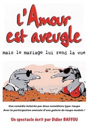 L'amour est aveugle mais le mariage lui rend la vue Thtre Comdie de Lille Affiche